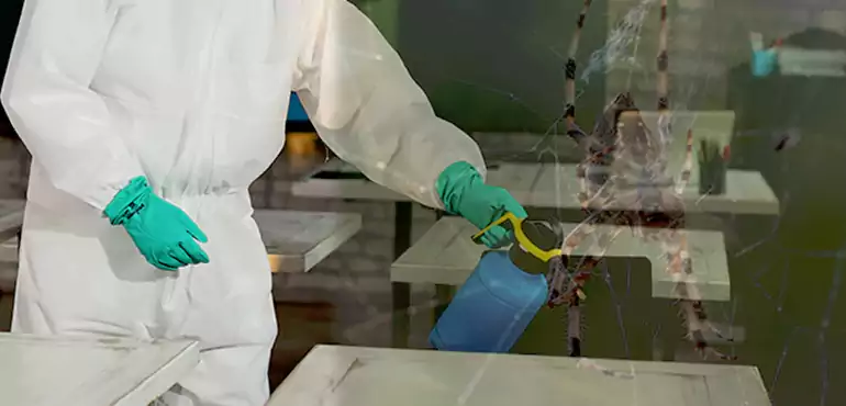 Why Buyers Still Want Homes With Pest Infestations in Chandler, AZ?