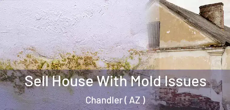  Sell House With Mold Issues Chandler ( AZ )
