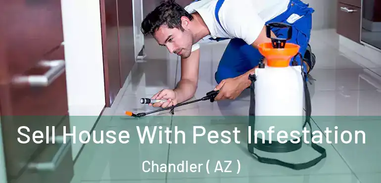  Sell House With Pest Infestation Chandler ( AZ )